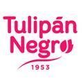 Tulipan negro