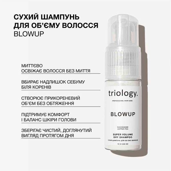 Сухий шампунь для об'єму волосся Blowup Triology 15093 фото