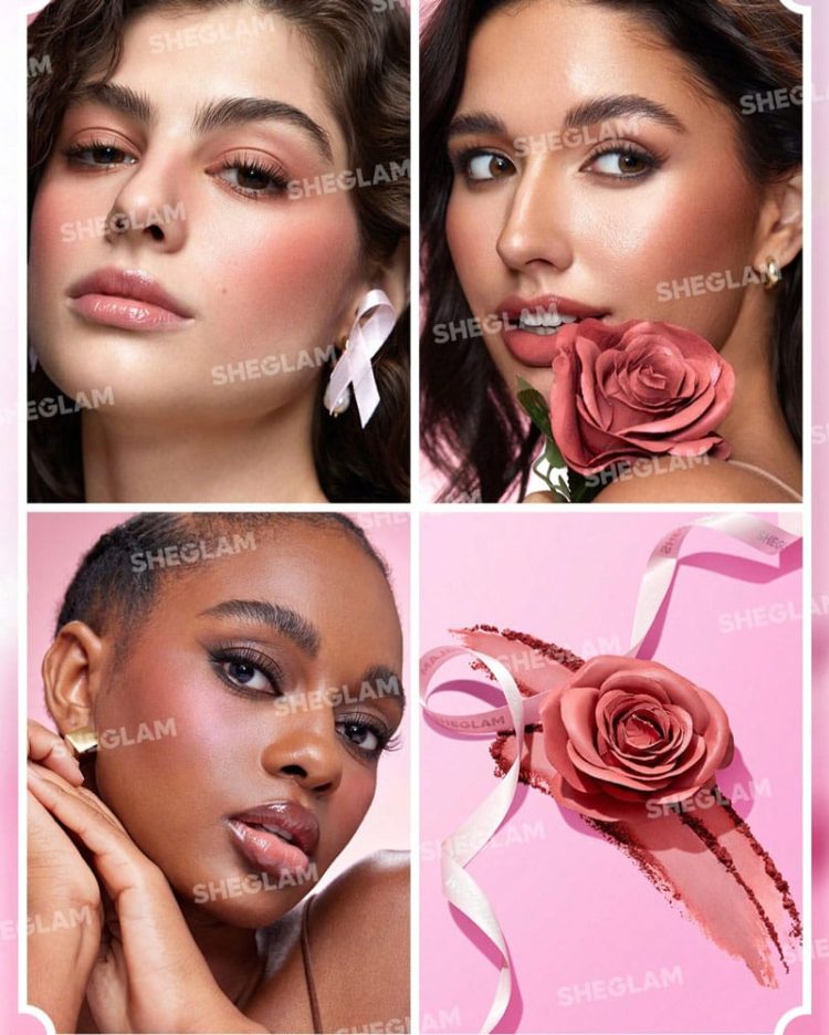 Троянда рум'яна Sheglam Pink Ribbon Rose Blush