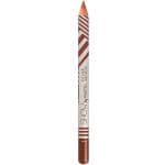 Олівець для губ Pastel Long Lasting №205